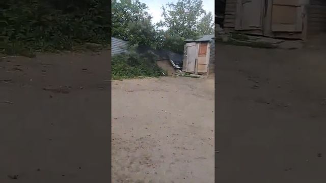 Цыгане сняли  3 туалета улица колхознае Кому надо приезжать повеситься 228 Цыгане рулят русские тол