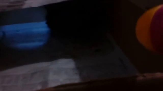 Мы спасли голубя - 1 смотреть онлайн