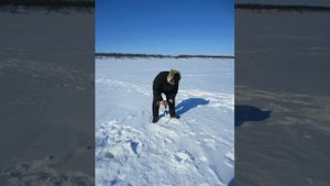 Тестирование ледобура Айсберг сложный слоистый лед 1 метр