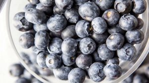 20 фактов о чернике