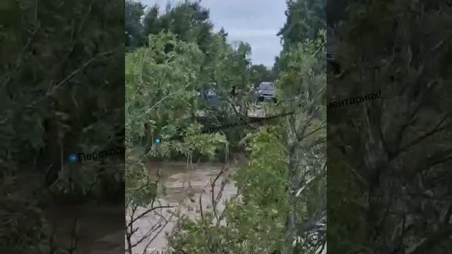 Так сейчас выглядит дорога в Борисовку.Той самой аллеи деревьев больше нет 😮  Уссурийск потоп