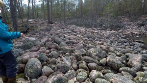 Озовая гряда. Карелия
