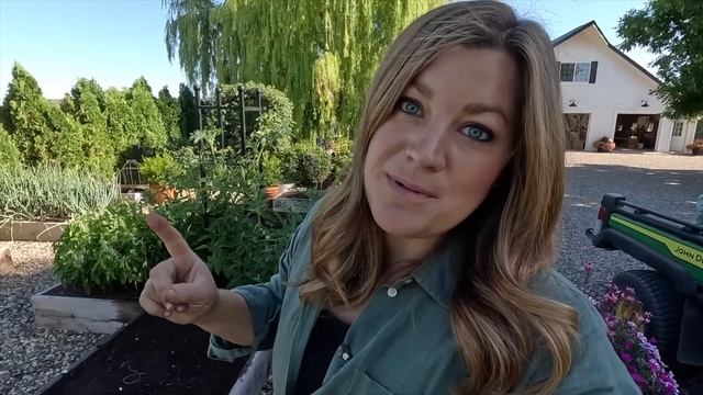 Planting Dwarf Thornless Blackberries & More Warm Season Veggies/ Flowers from Seed! ??? смотреть онлайн