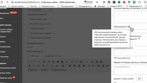 Зачем нужны канонические страницы. Где и как их указывать.