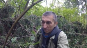 Гриб ЗОНТИК КРАСНЕЮЩИЙ ,один из лучших лесных деликатессов