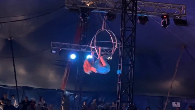 Цирк шапито / Арлекин шоу дикий смотреть онлайн