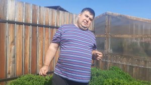 КОГДА ЗАЦВЕТЁТ ХРИЗАНТЕМА МУЛЬТИФЛОРА и зачем она нужна.