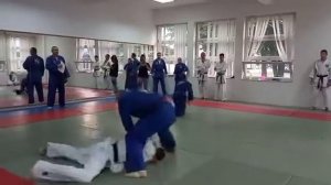 Odbrana od dva naoružana napadaca Aikido samoodbrana "Brod"