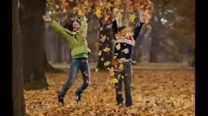 Закружился в парке листопад