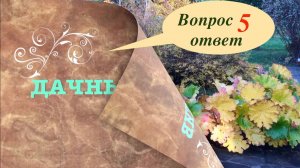 ВОПРОС ОТВЕТ 5. БУЗИНА БЛЕК ЛЕЙС / СОСНА ФОРМИРОВАНИЕ / БАРБАРИС из СЕМЯН / ХОСТЫ НА СОЛНЦЕ /КАЛИНА.