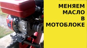 Замена масла в двигателе мотоблока // Обслуживание мотоблока.