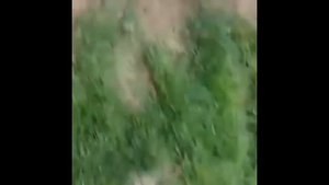 Прищи гной
