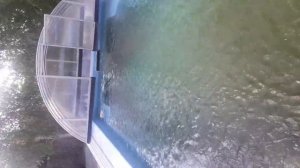 Лучшее средство для очистки воды в бассейне. Чистый бассейн за 3 минуты. Активный кислород DR.Water