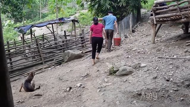 Grow Pineapples in Garden and visit my brother Robert green forest life farm, Amy village life. смотреть онлайн