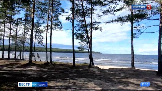 В Лахденпохском районе зарегистрирован лесной пожар смотреть онлайн