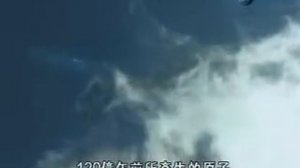 Freestyle Project - Electric Boogies