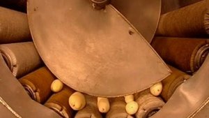 Картофель фри замороженный