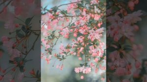 Мелодия под стихотворение