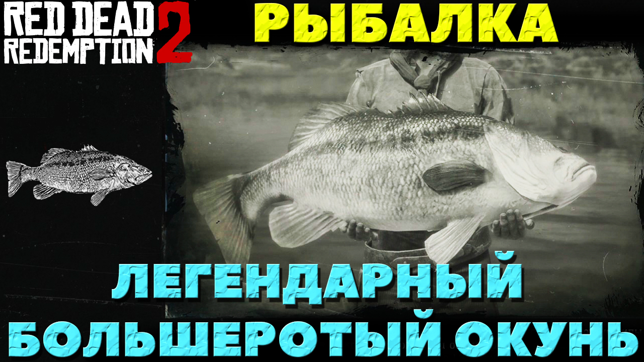 Как поймать большеротого окуня. Большеротый окунь рдр2. Легендарный каменный окунь. Легендарный синежаберник. Вся легендарная рыба.