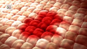 Курганский Дед Мороз купил себе «Алмаг плюс»