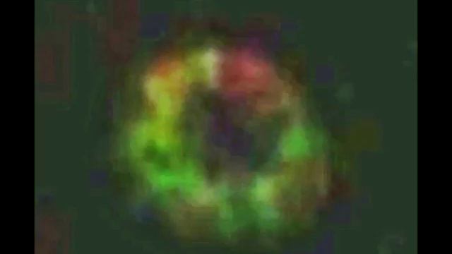 Сияние Антарес 09 07 2017 Мимикрия смотреть онлайн