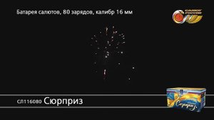 СЛ116080 Сюрприз