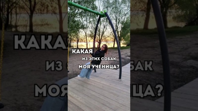 Какая из этих собак моя ученица? #shorts