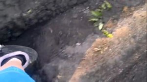 Окучивание картофеля на минитракторе УД-2