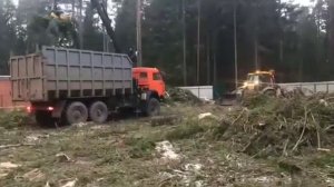 Погрузка веток в ломовоз