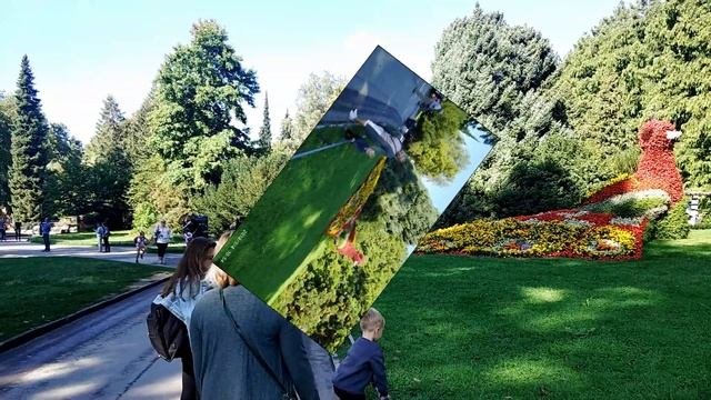 Путешествие в Шварцвальд. Остров Майнау