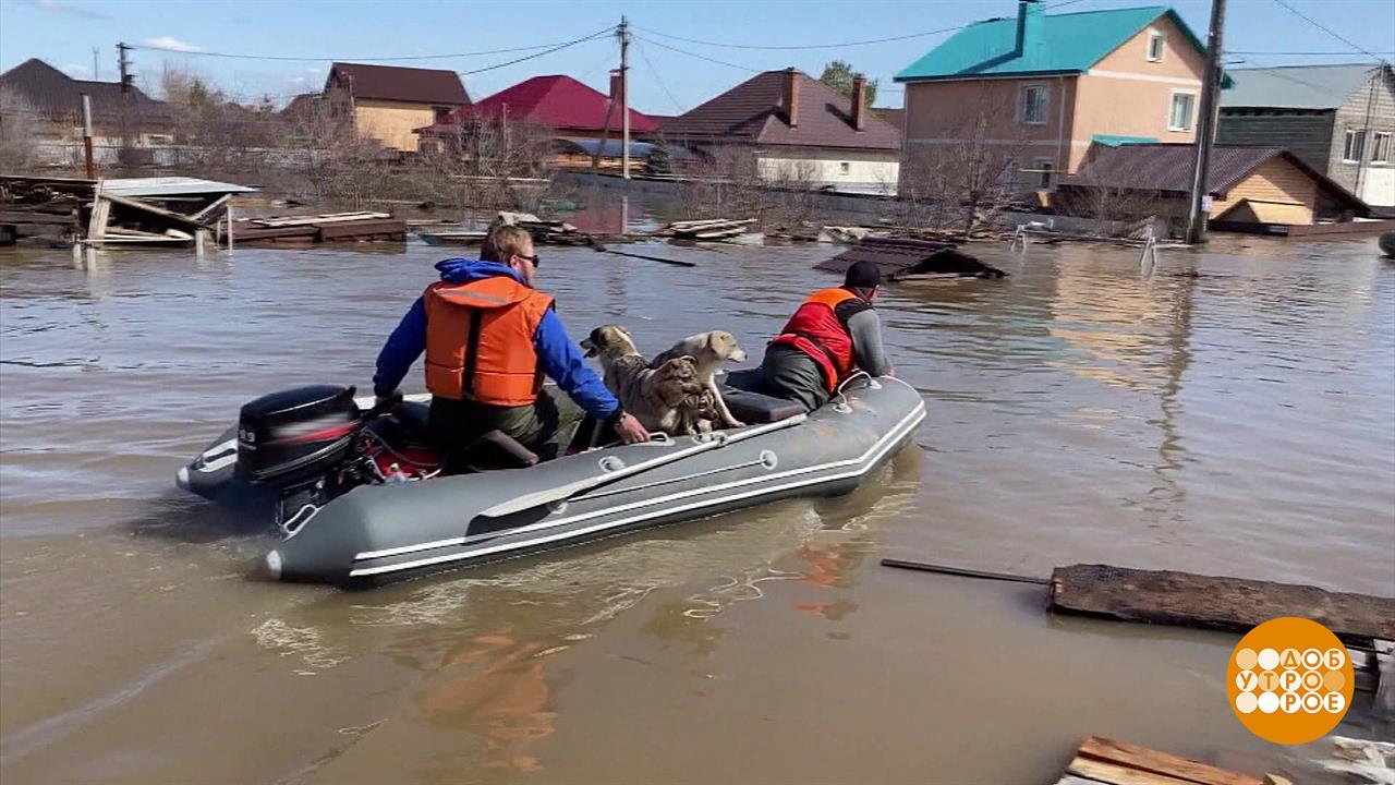 Паводок. Добро побеждает. Доброе утро. Суббота. Фрагмент выпуска от 13.04.2024