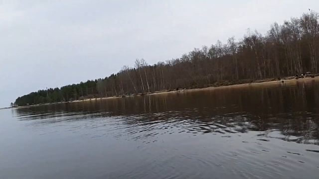 Устье реки бурной,  ловим ельца