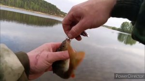 Рыбалка на новом месте! Озеро рядом с. Усолка Дзержинского района Красноярского края