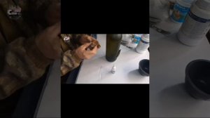 Декорация бутылки!!!
