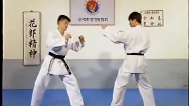 Hapkido 합기도 KHF Kim Nam Jej 1 смотреть онлайн