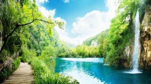 Бамбуковая флейта музыка добра и покоя bamboo flute spa music