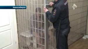 БОЕЦ ММА УСТРОИЛ БЕШЕННЫЙ  ДЕБОШ В АЭРОПОРТУ !!!