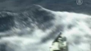 Япония защищает своё право на убой китов