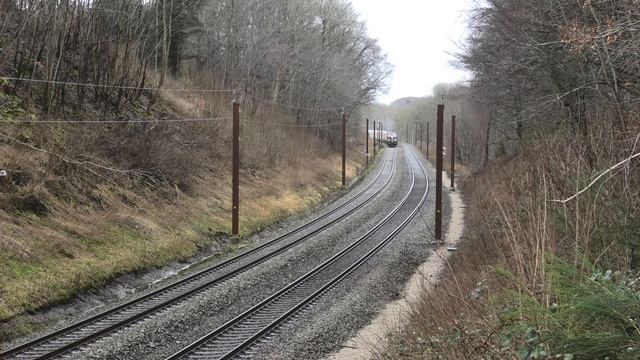 DB Cargo MZ 1453 + MK 614 samt VIKING-Rail MX 1029 + 1831 med Mærsk tog - 19-02-2024 смотреть онлайн