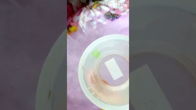 Как правильно готовить завтрак из продукции компании Гербалайф.
