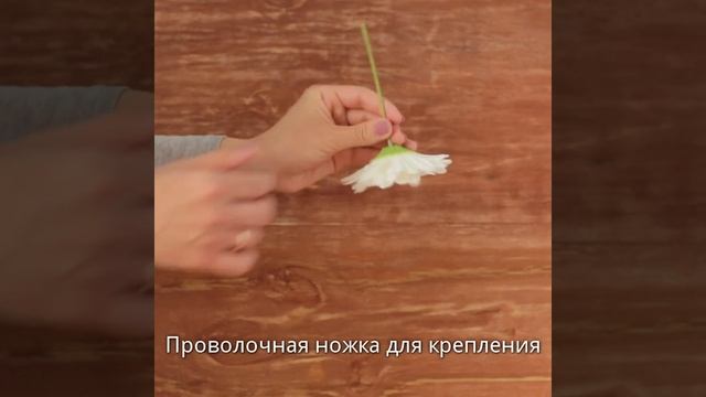 Гербера Молочная смотреть онлайн