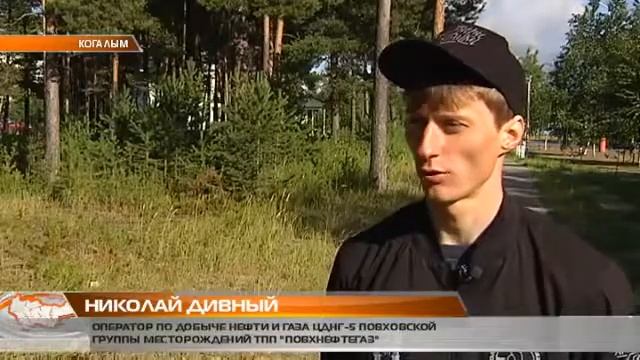 Чистая Арктика смотреть онлайн