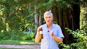 Как в домашних условиях приготовить серебряную воду? Рассказывает Геннадий Гарбузов