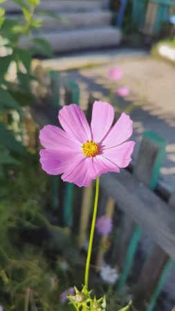 Бабье лето в самом разгаре