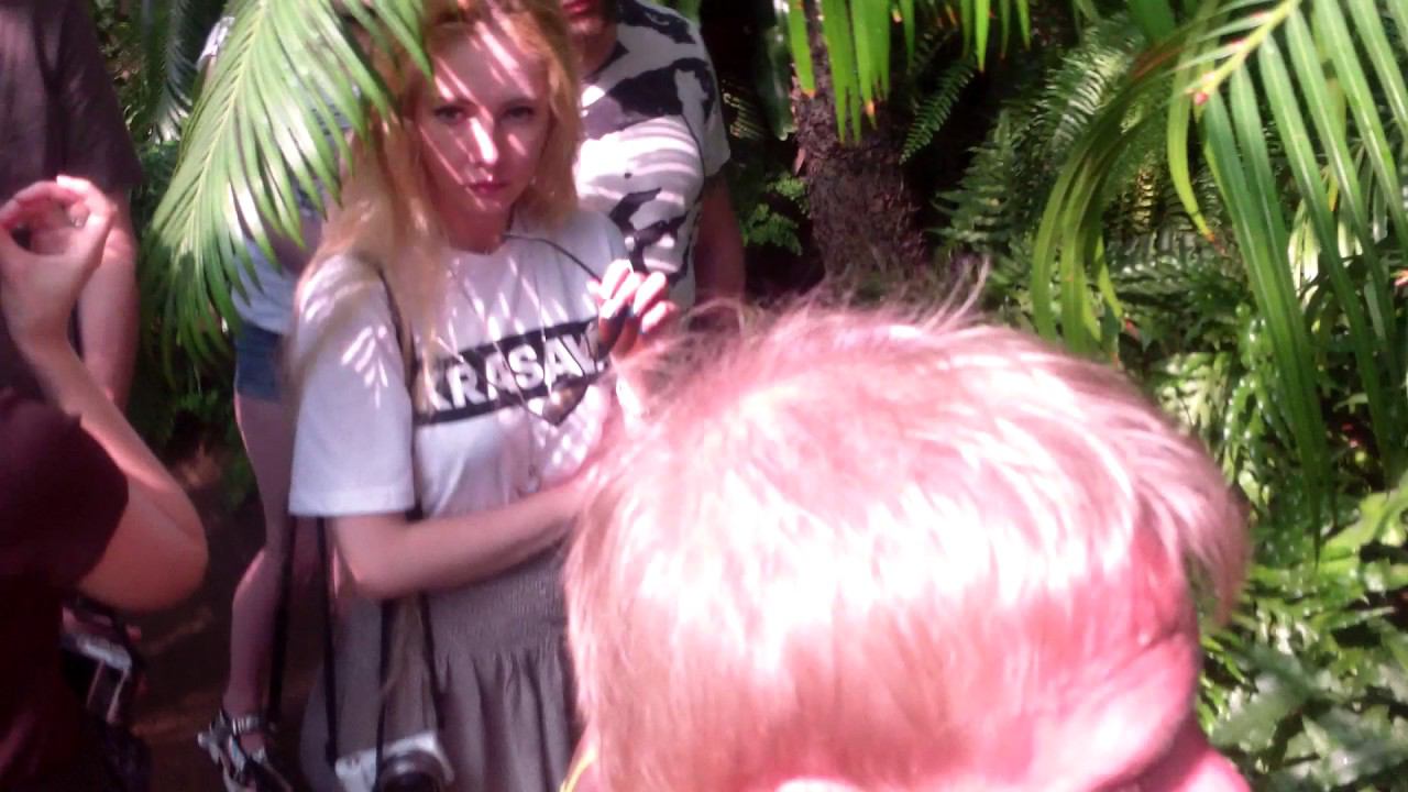 БОТАНИЧЕСКИЙ САД смотреть онлайн