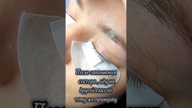 Работа секторами #lashmaker #обучениересниц #наращиваниересниц #ресницы смотреть онлайн