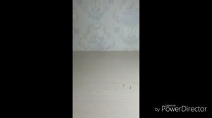 Обзор на противогаз ГП-5