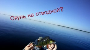 Рыбалка на Ладожском Озере. Окуневый Контент.