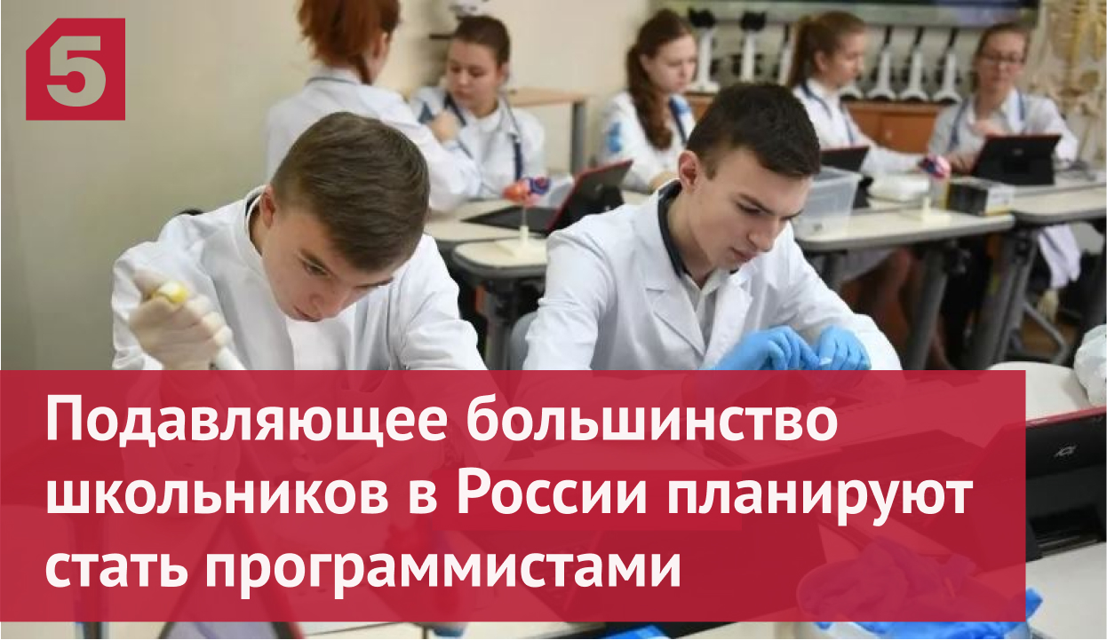 Большинство школьников в России планируют стать программистами