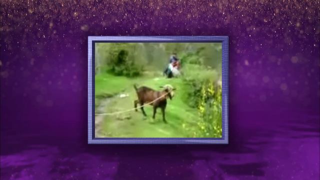 The Graham Norton Show - Series 7 Episode 9 Full Episode смотреть онлайн